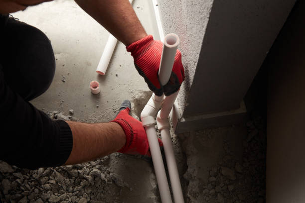 Best Clogged Drain Plumber  in North Alamo, TX