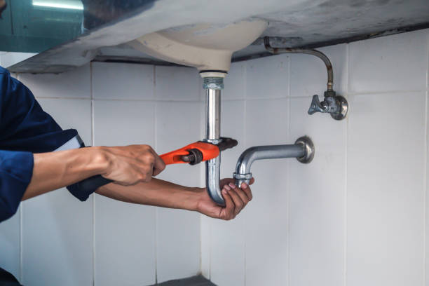 Best Local Plumber Services  in North Alamo, TX