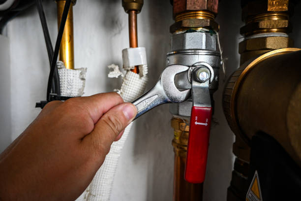 Best Plumbing Services Near Me  in North Alamo, TX